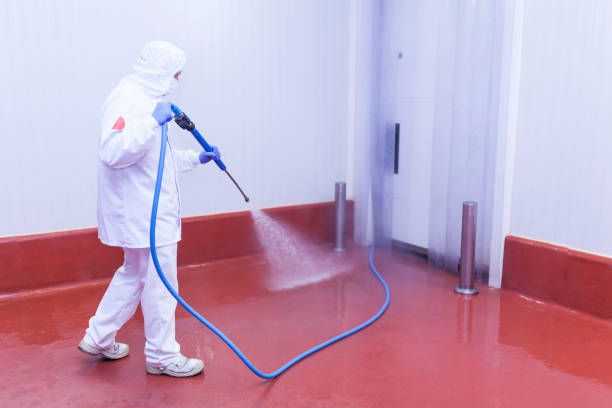 Professional Pressure Washing Services in Westwood Lakes, FL