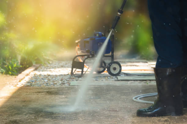 Best Animal Enclosure Cleaning  in Westwood Lakes, FL